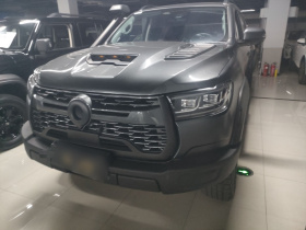 长城 炮 2023款 2.0T越野版自动柴油四驱珠峰版