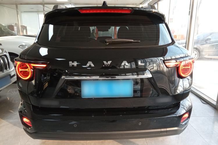 哈弗大狗 PLUS 2023款 2.0T 两驱潮野版Plus车身外观6004