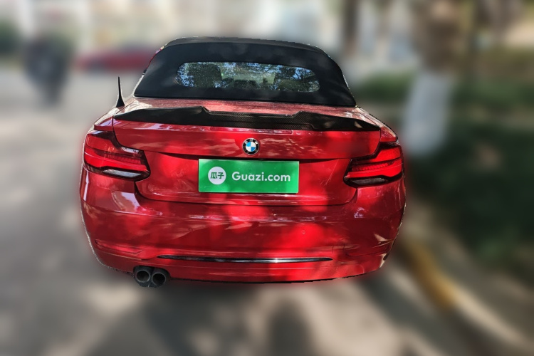 宝马2系(进口) 2019款 225i 敞篷轿跑车 运动设计套装车身外观6