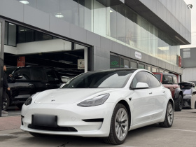 特斯拉 Model 3 2021款 标准续航后驱升级版 3D6