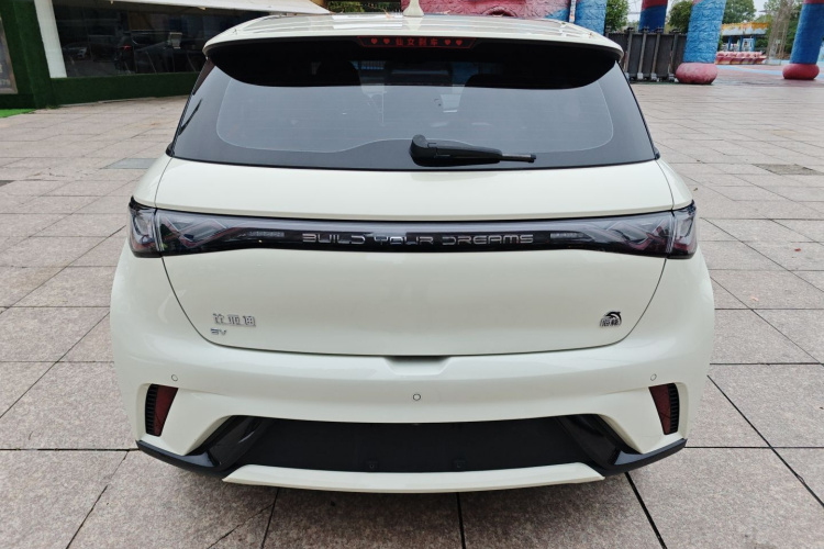 比亚迪 海豚 2023款 420km 时尚版车身外观6