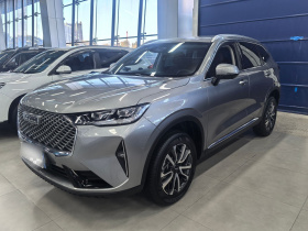 哈弗H6 2024款 1.5T 两驱经典版