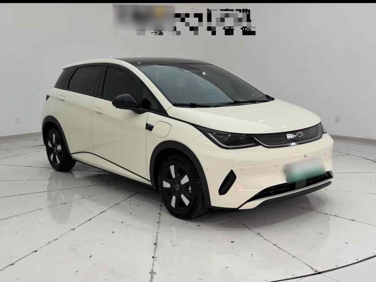 比亚迪 海豚 2025款 智驾版 410km 时尚版(5)
