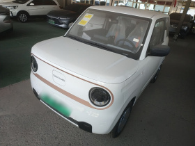 吉利银河 2024款 熊猫mini 200km 耐力熊