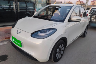 五菱汽车 五菱缤果 2024款 333km 悦享款