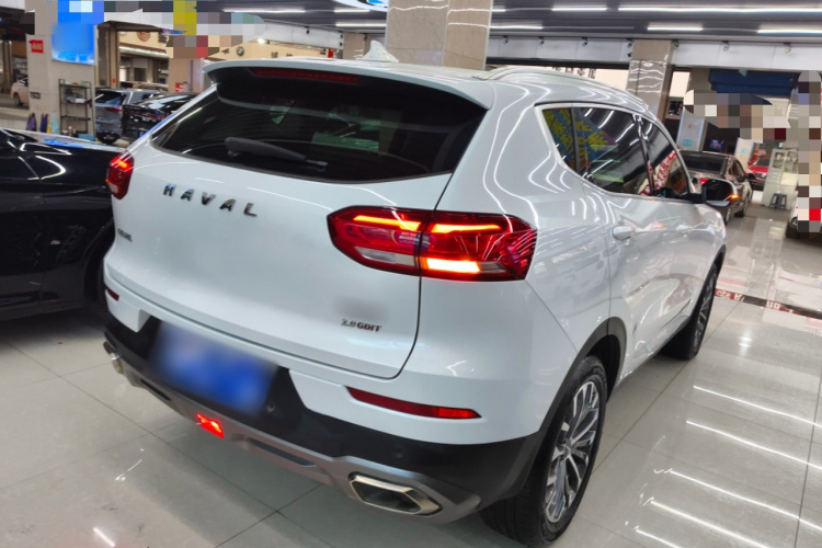 哈弗H6 2020款 2.0GDIT 自动铂金冠军版车身外观7