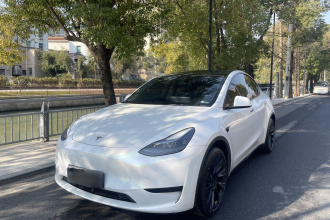 特斯拉 Model Y 2022款 后轮驱动版