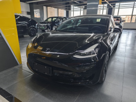 特斯拉 Model 3 2020款 改款 标准续航后驱升级版