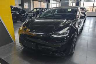 特斯拉 Model 3 2020款 改款 标准续航后驱升级版