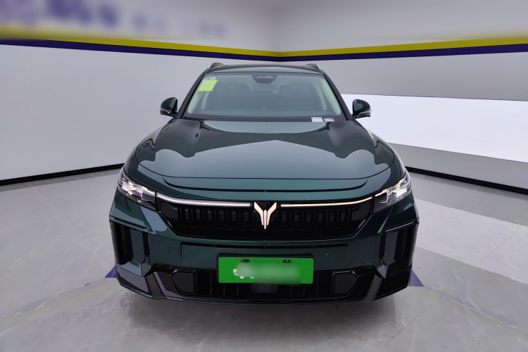 岚图汽车 岚图FREE 2024款 超长续航智驾版车身外观2