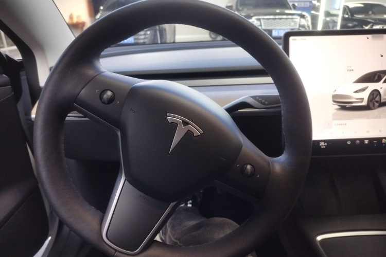 特斯拉 Model 3 2022款 后轮驱动版局部细节13