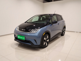 比亚迪 海豚 2025款 520km 骑士版