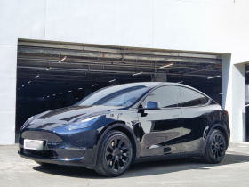 特斯拉 Model Y 2021款 标准续航后驱版