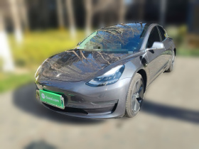 特斯拉 Model 3(进口) 2019款 长续航全轮驱动版