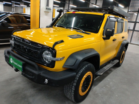 坦克300 2022款 2.0T 边境限定版