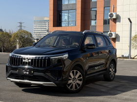 起亚 智跑 2021款 Ace 2.0L 精彩版