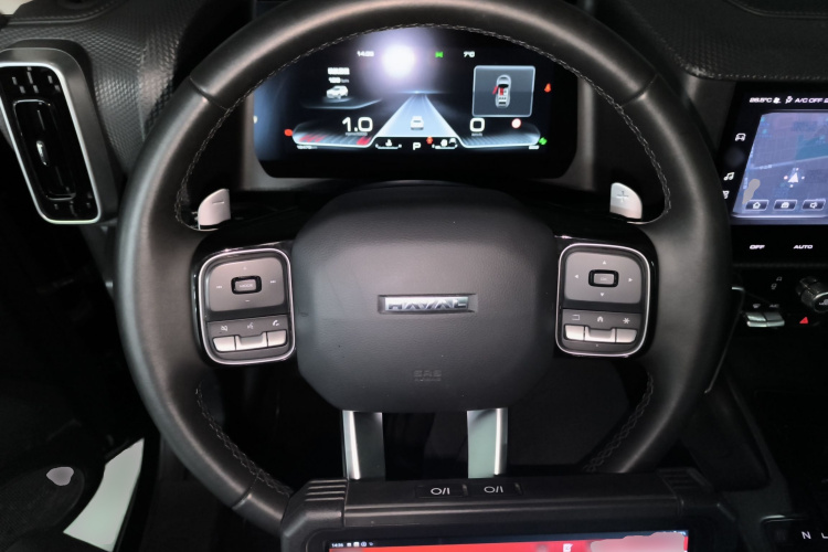 哈弗大狗 2024款 1.5T DCT边牧版局部细节13