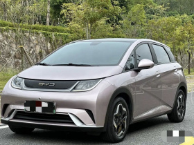 比亚迪 海豚 2021款 405km 时尚版