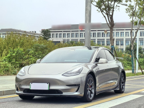 特斯拉 Model 3 2020款 改款 长续航后轮驱动版
