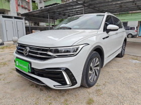 大众 途观L新能源 2022款 430PHEV 插电混动尊贵版