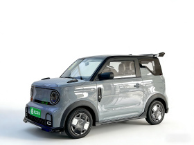 吉利银河 2025款 210km 熊猫卡丁