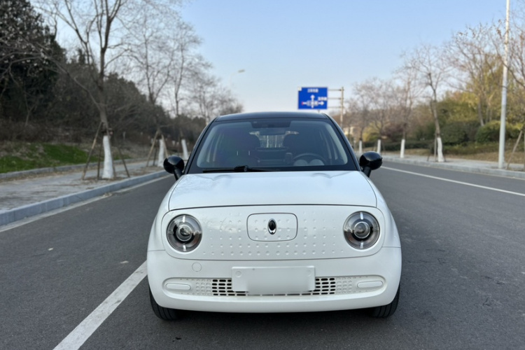 欧拉黑猫 2021款 301km 基础型车身外观6004