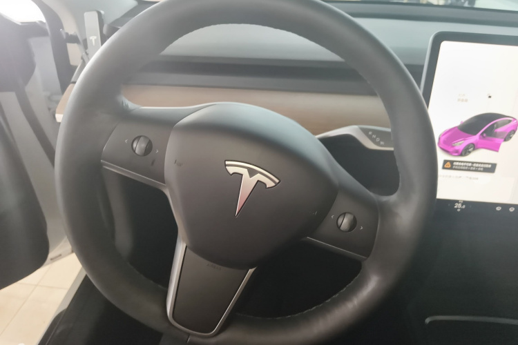 特斯拉 Model 3 2021款 改款 标准续航后驱升级版 3D1局部细节13