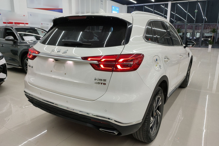 红旗HS5 2022款 2.0T 智联旗享版车身外观7