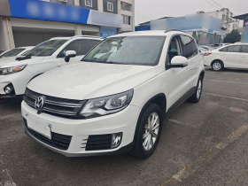 大众 途观 2016款 280TSI 自动两驱丝绸之路风尚版