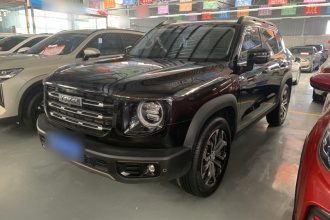 哈弗大狗 2021款 1.5T DCT两驱边牧版