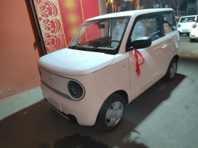 吉利银河 2024款 熊猫mini 200km 耐力熊