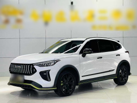 哈弗赤兔 2021款 激擎版 1.5T 铂金兔