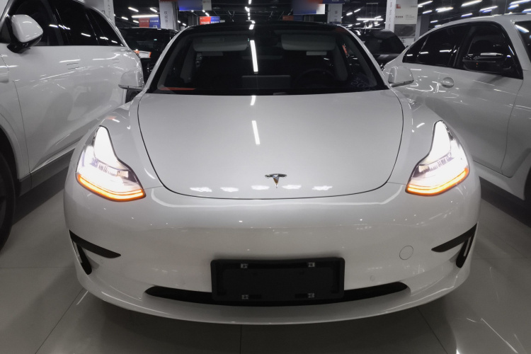特斯拉 Model 3 2020款 改款 标准续航后驱升级版车身外观6001