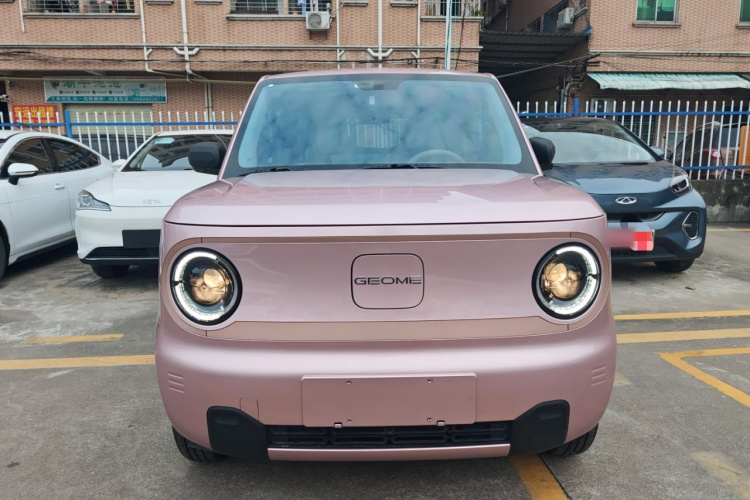 吉利银河 2024款 改款 熊猫mini 200km 龙腾版车身外观2