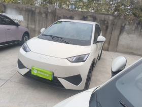 比亚迪 海鸥 2025款 智驾版 305km 活力版