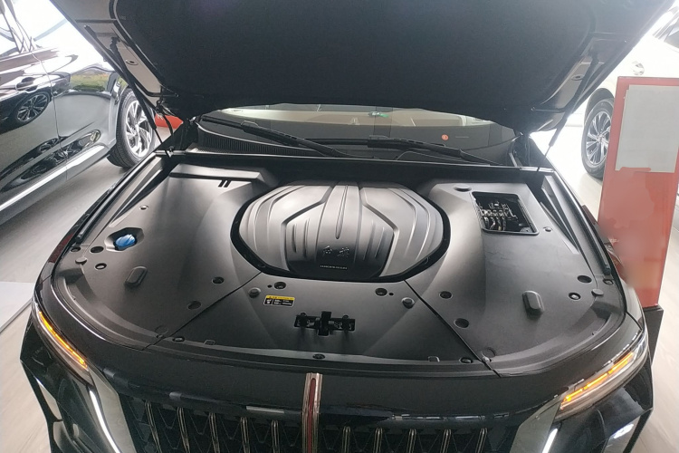 红旗H9 2024款 2.0T 旗畅 私享风尚版机舱底盘24