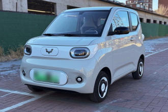 五菱汽车 宏光MINIEV 2024款 第三代 215km 青春版