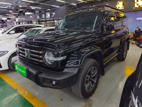 坦克300 2024款 2.0T 穿越者