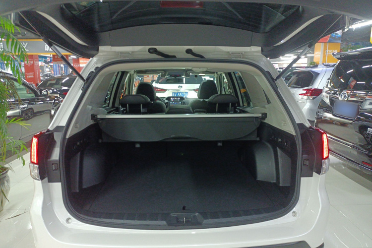 斯巴鲁 森林人 2021款 2.0i 豪华版EyeSight机舱底盘23