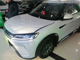 比亚迪 元UP 2024款  401KM 活力版