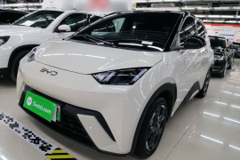 比亚迪 海鸥 2025款 305km 自由版