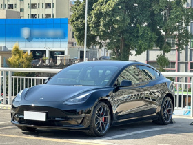 特斯拉 Model 3 2022款 Performance高性能全轮驱动版