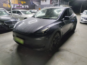 特斯拉 Model Y 2021款 长续航全轮驱动版 3D7