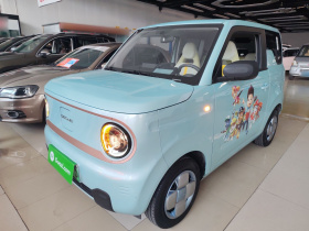 吉利银河 2024款 熊猫mini 200km 耐力熊