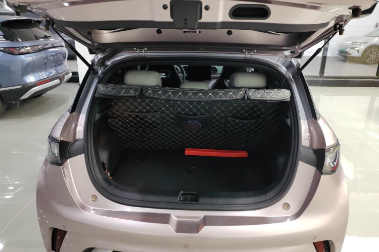 比亚迪 海豚 2021款 401km 骑士版机舱底盘23