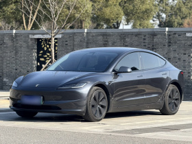 特斯拉 Model 3 2023款 后轮驱动版