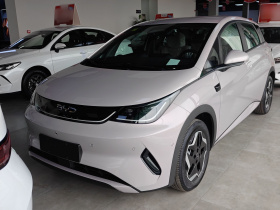 比亚迪 海豚 2025款 智驾版 420km 自由版