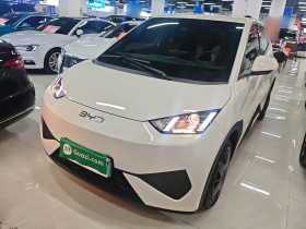 比亚迪 海鸥 2025款 智驾版 305km 活力版