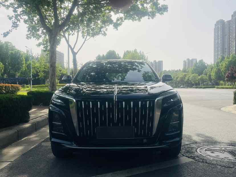 红旗HS3 PHEV 2024款 115km 劲为版(3)