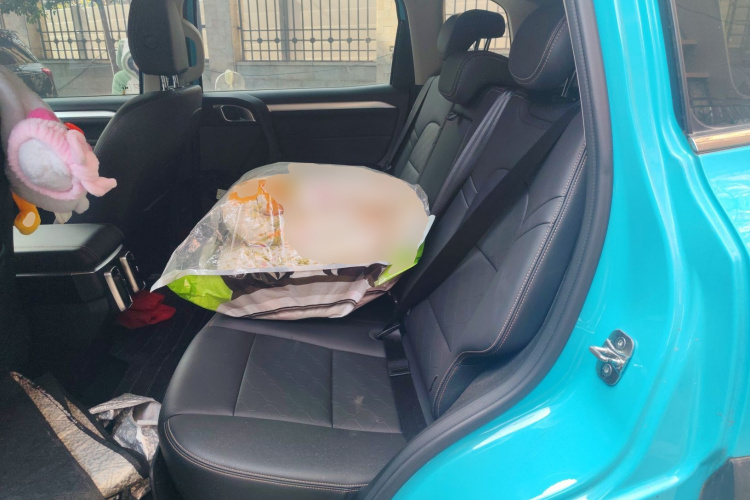 哈弗大狗 2021款 2.0T DCT四驱中华田园犬版中控内饰21